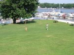 Playing Catch
